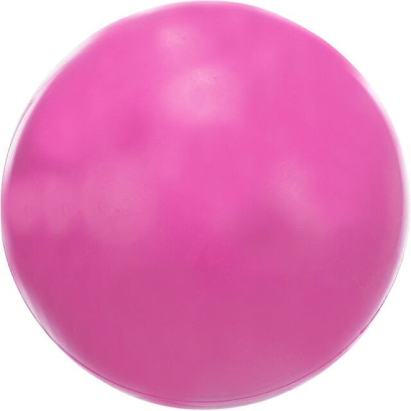 Rotaļlieta suņiem : Trixie Ball 7cm
