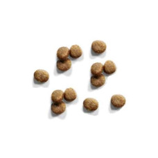 IAMS CAT KITTEN CHICKEN 10KG. Sausā barība kaķēniem
