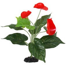 Māksīgais augs terārijam - RP Plant Anthurium 40cm