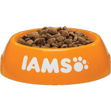 IAMS CAT ADULT CHICKEN 2KG. Sausā barība ar vistas gaļu pieaugušiem kaķiem