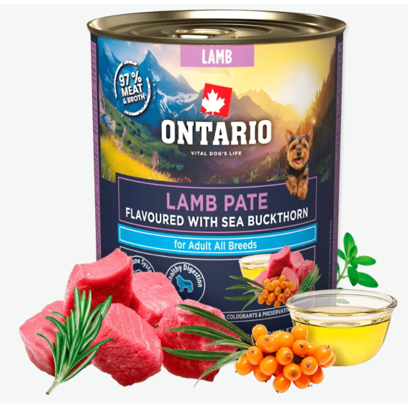 Консервы для собак – Ontario Adult Lamb Pate Flavoured with Sea Buckthorn, 800 г