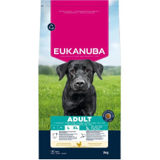 Sausa barība suņiem - Eukanuba Adult Large Chicken, 3 kg